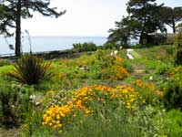 Esalen4